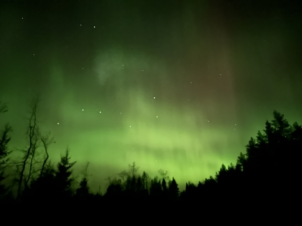 This image has an empty alt attribute; its file name is IMG_6351-1024x768.jpg