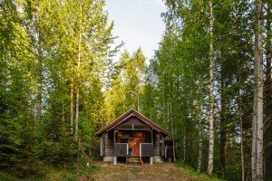 standart cottage 10